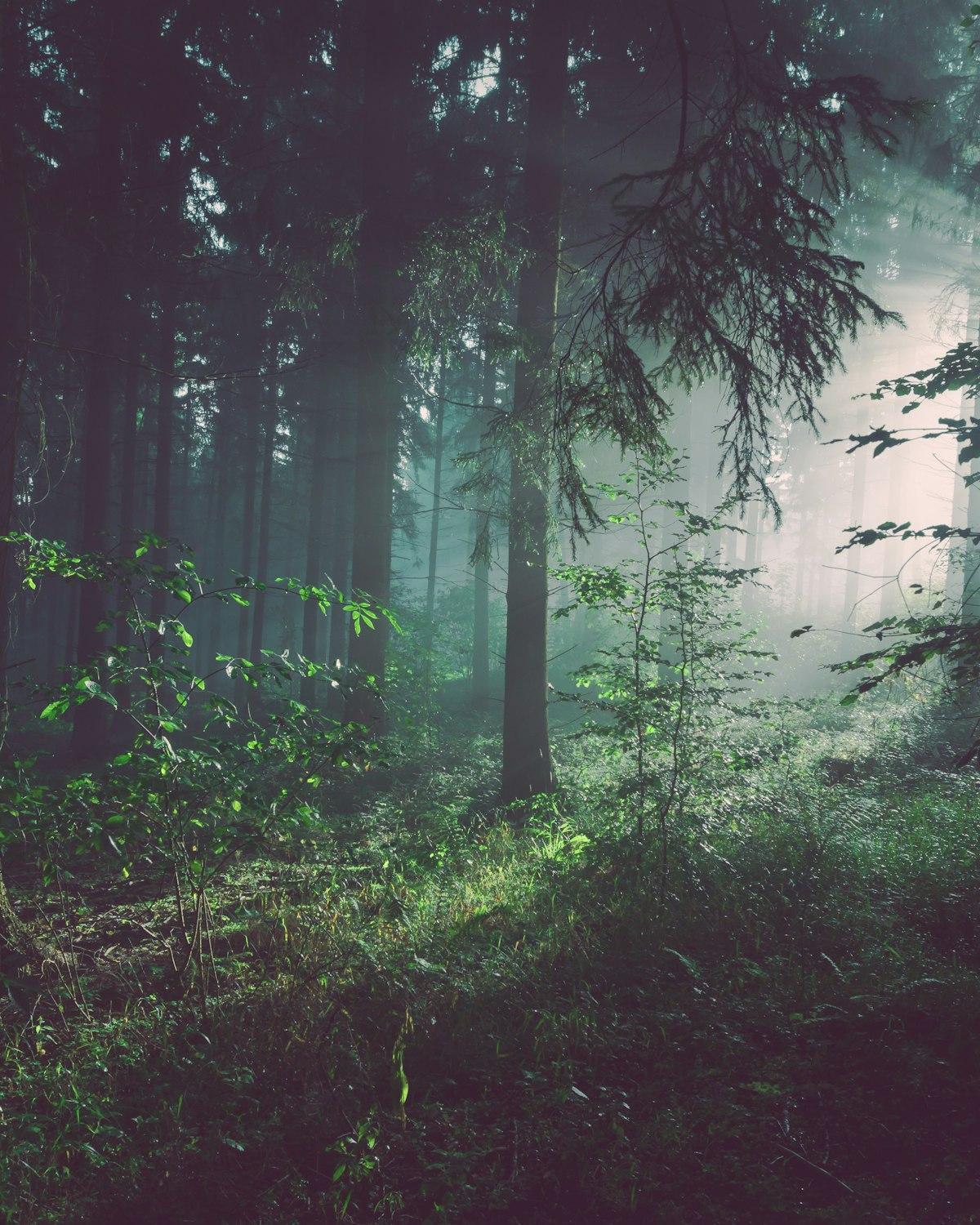 Que vuestra boda deje algo detrás